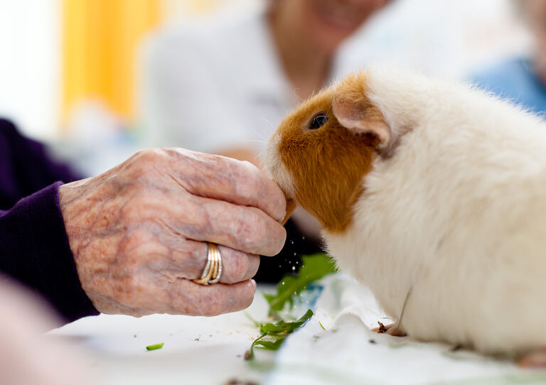 Tiertherapie Pflegekrankenhaus Wien Haus der Barmherzigkeit