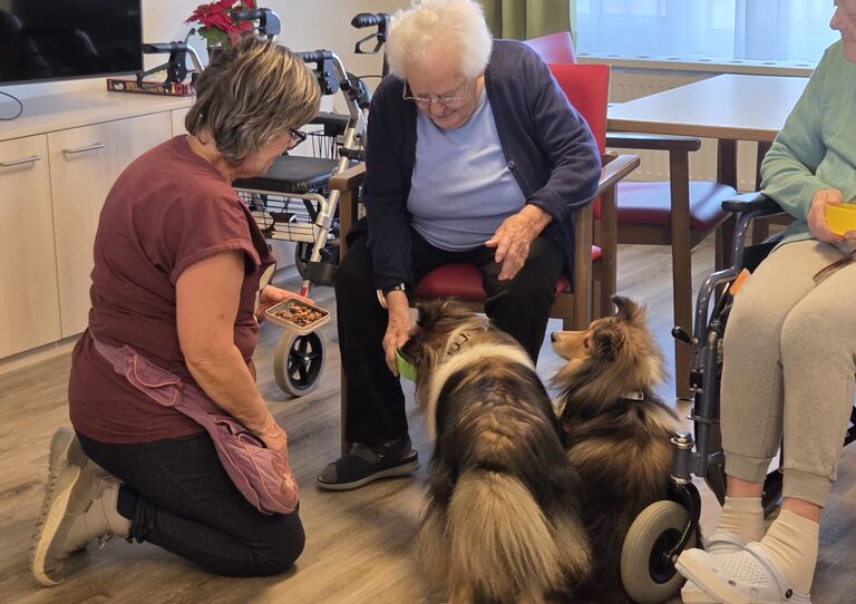 Tierischer Besuch in Wiener Neustadt Tierischer Besuch in Wiener Neustadt