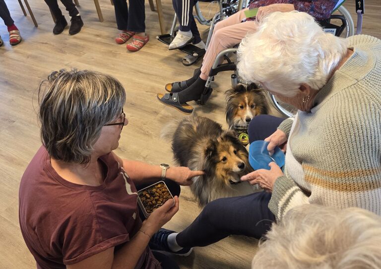 Tierischer Besuch in Wiener Neustadt Tierischer Besuch in Wiener Neustadt