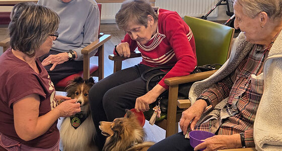 Tierischer Besuch in Wiener Neustadt
